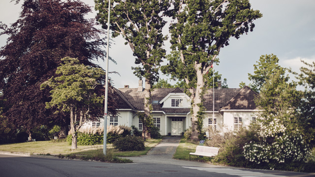 Two big trees in front of a big house