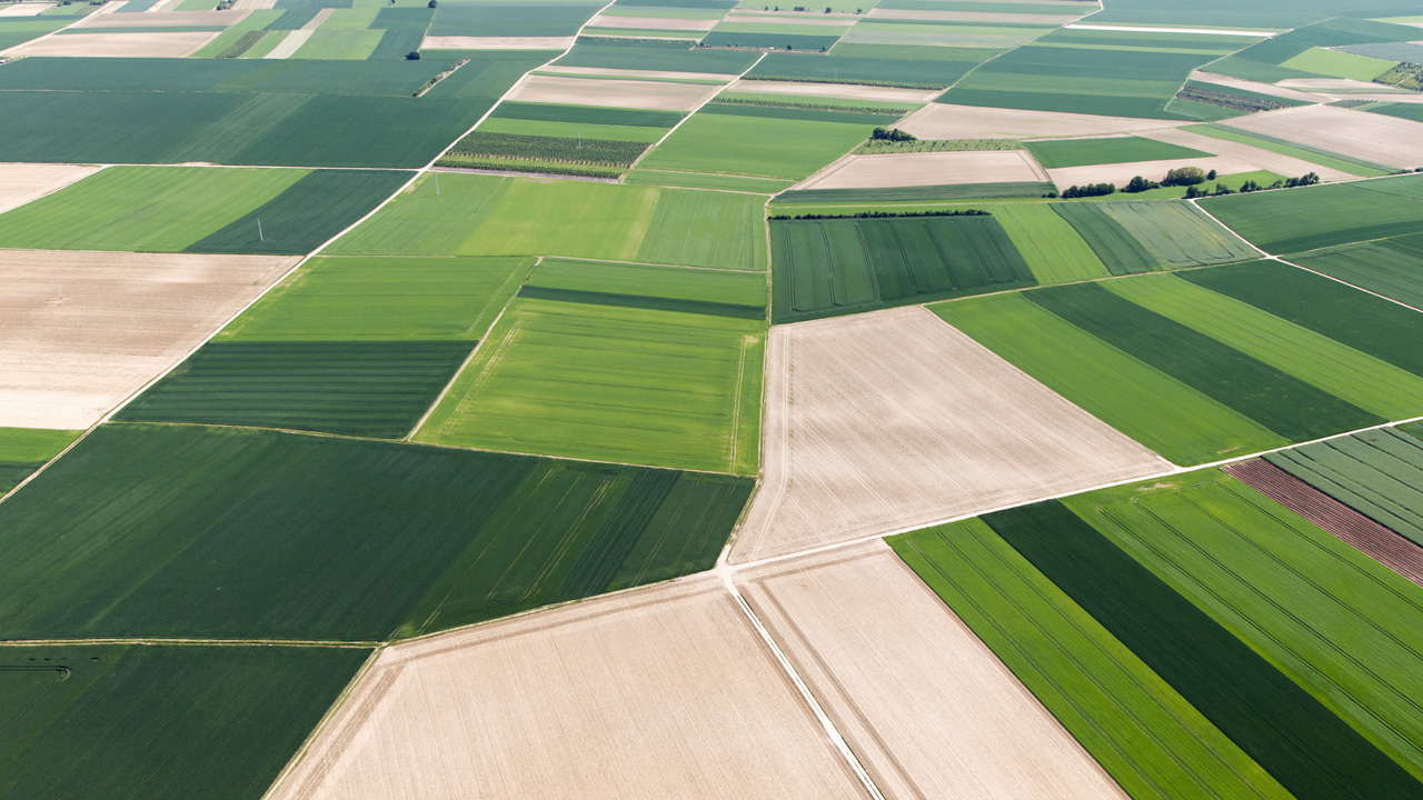 Green fields photographed from the air