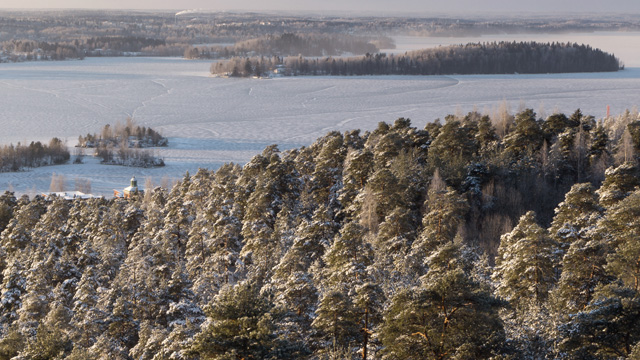 Winter with snow on a lake and the forest