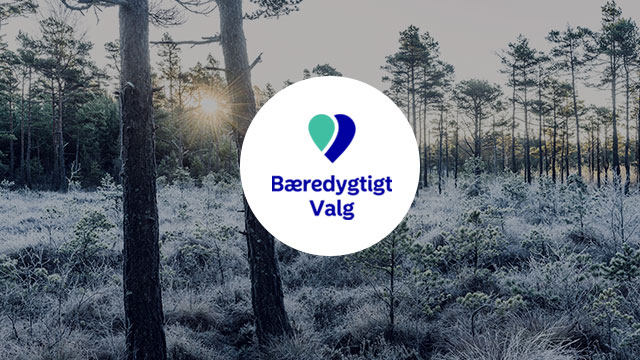 Sustainability forest covered in dew SMALL