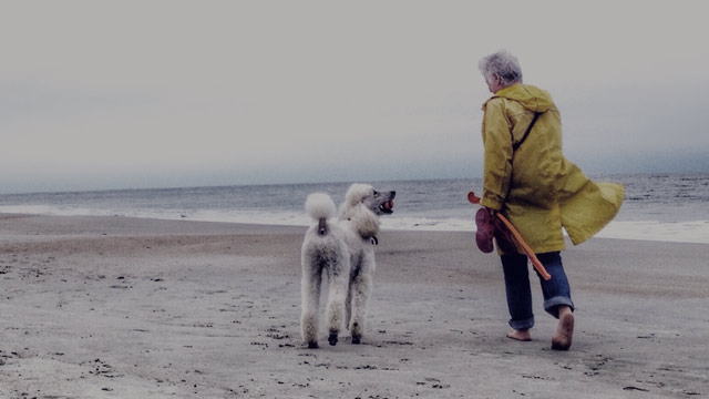 senior woman with dog on beach small overlay