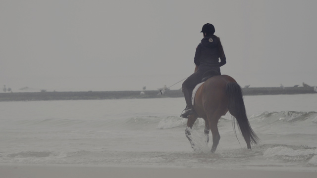 woman horsebackriding small overlay